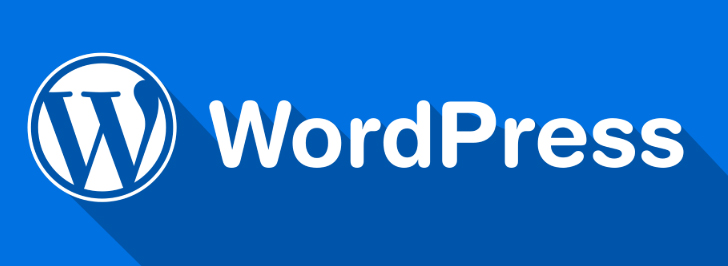WordPress website development technology used by DevWizzy